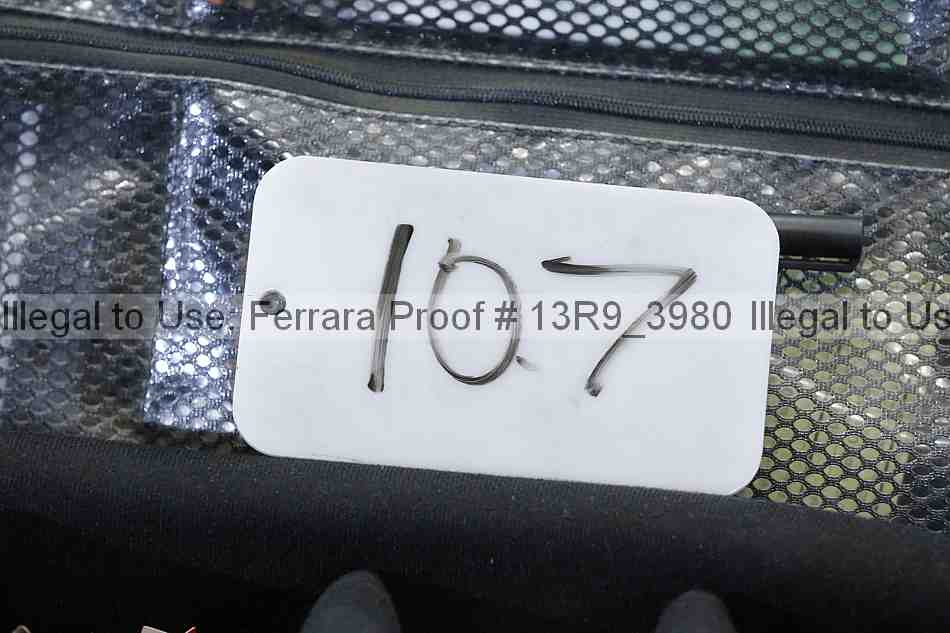 Proof 13r9_3980