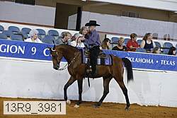 13r9_3981 proof