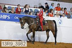 13r9_3982 proof