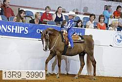 13r9_3990 proof