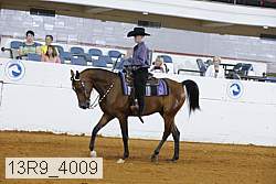 13r9_4009 proof