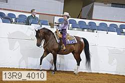13r9_4010 proof