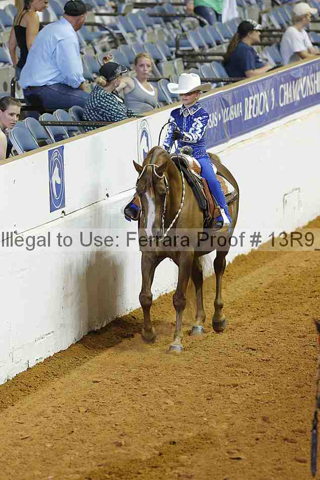 Proof 13r9_4015
