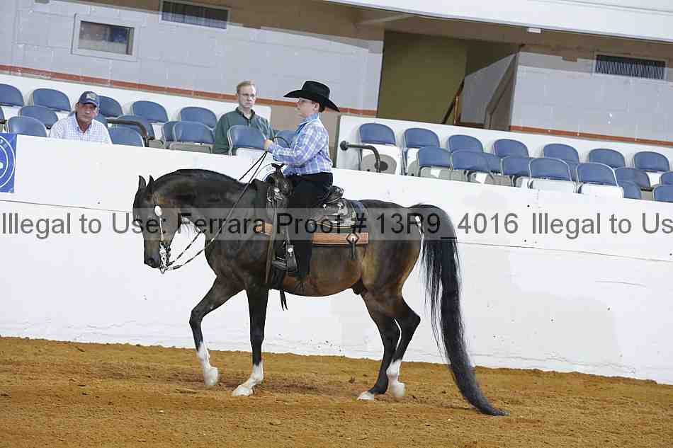 Proof 13r9_4016