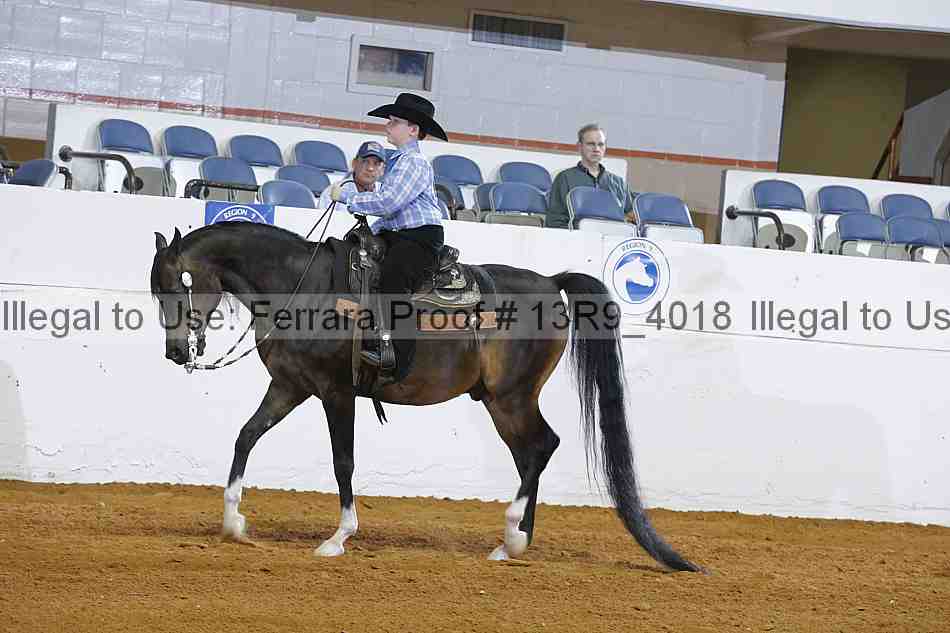 Proof 13r9_4018