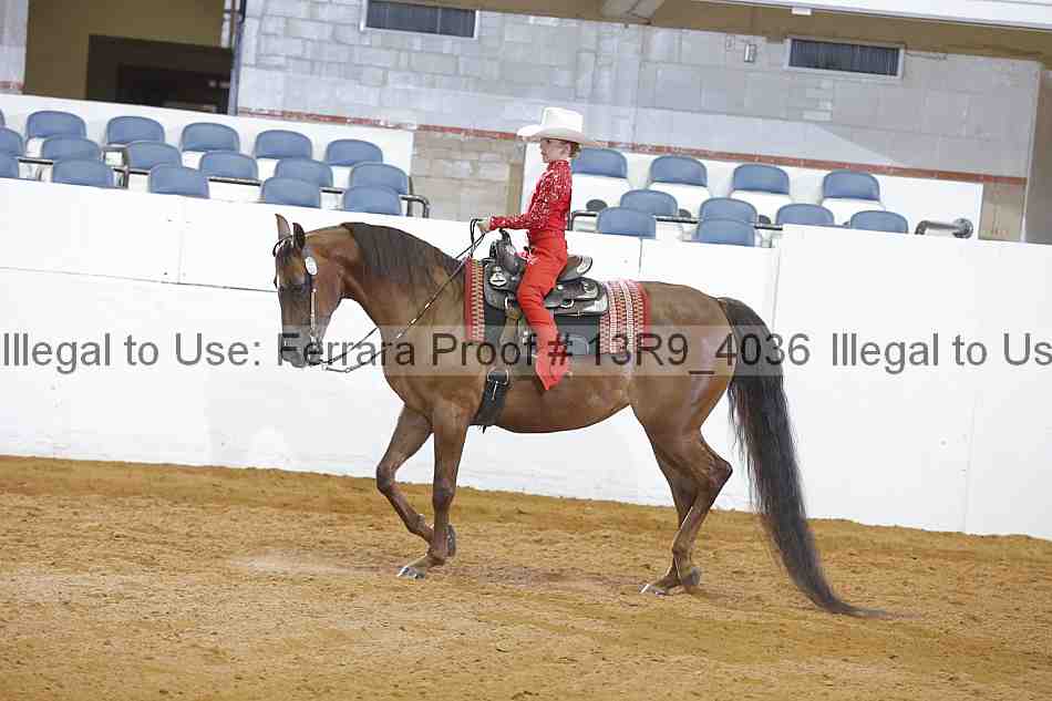 Proof 13r9_4036