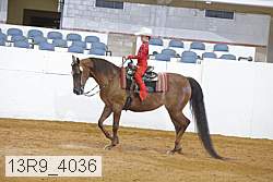 13r9_4036 proof