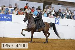13r9_4100 proof