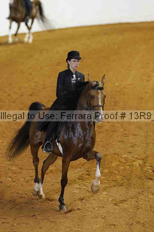 Proof 13r9_4103