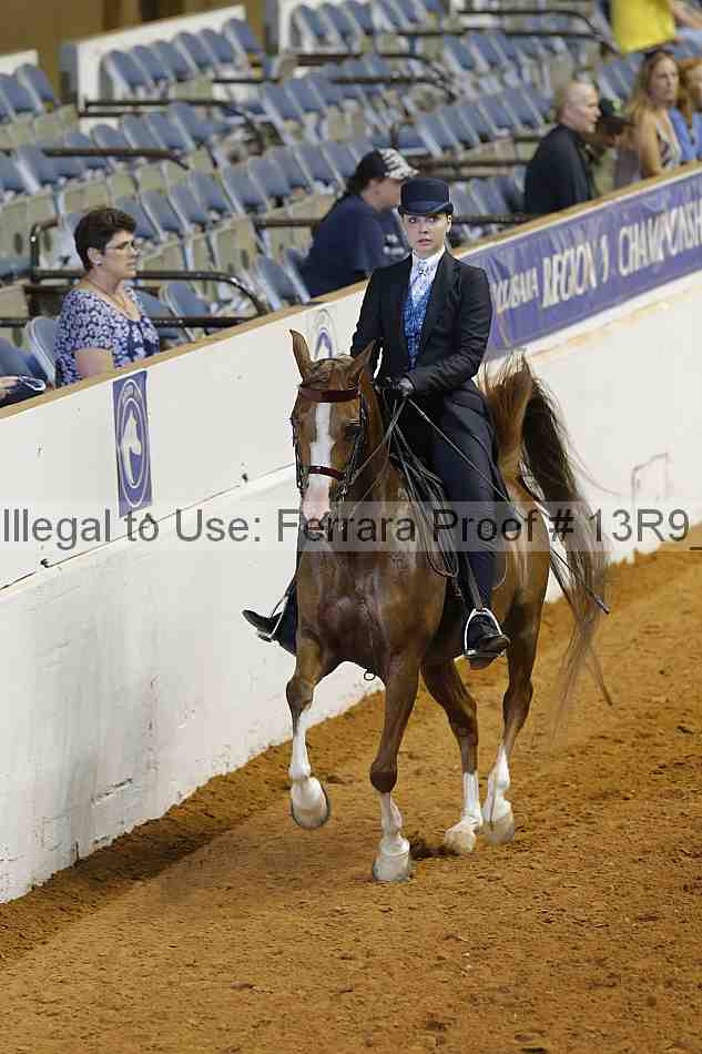 Proof 13r9_4105