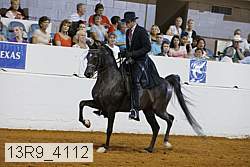 13r9_4112 proof