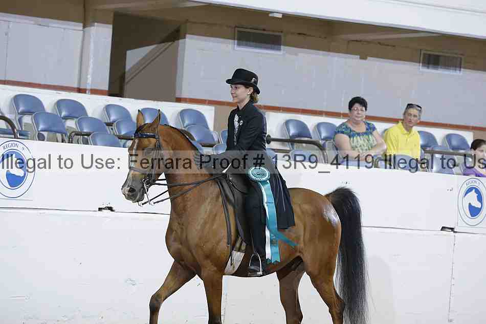 Proof 13r9_4119