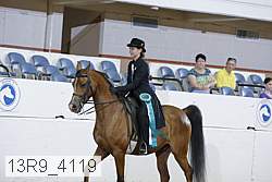 13r9_4119 proof