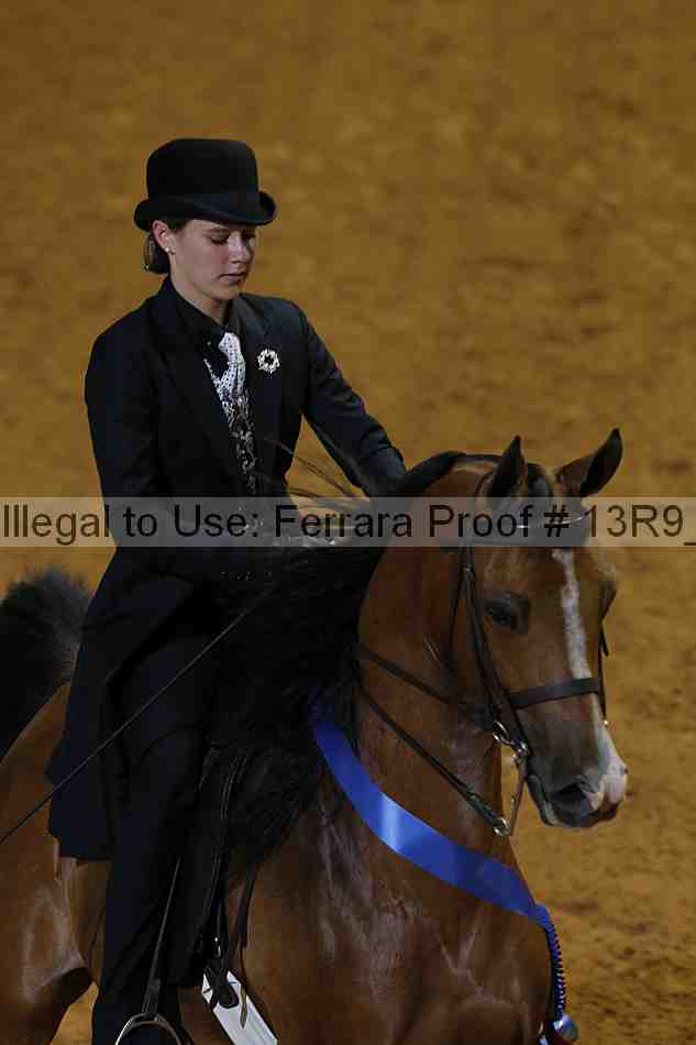 Proof 13r9_4124