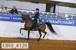 13r9_4128 proof