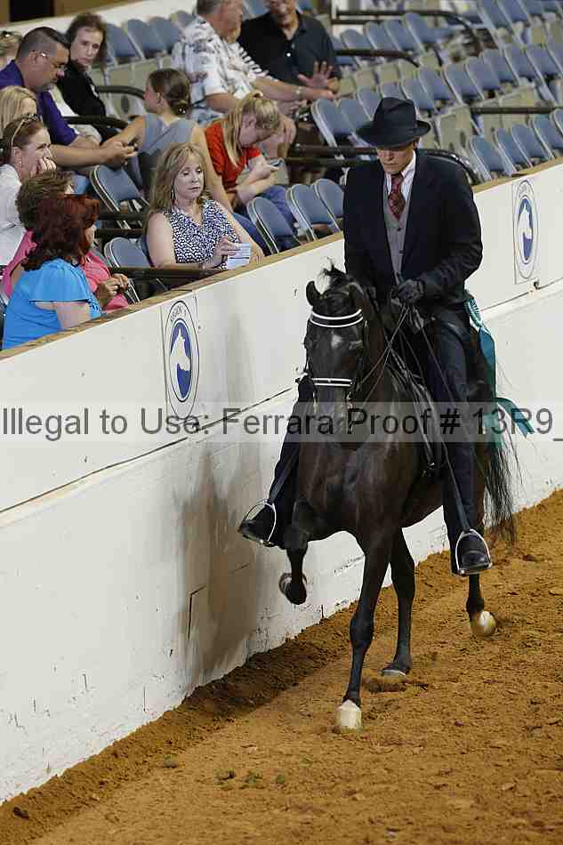 Proof 13r9_4130