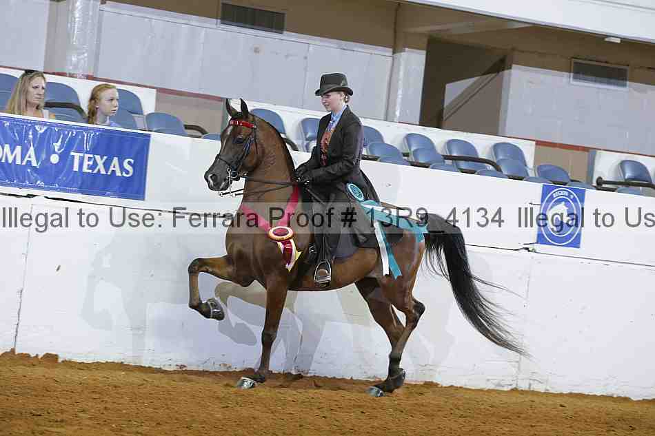 Proof 13r9_4134