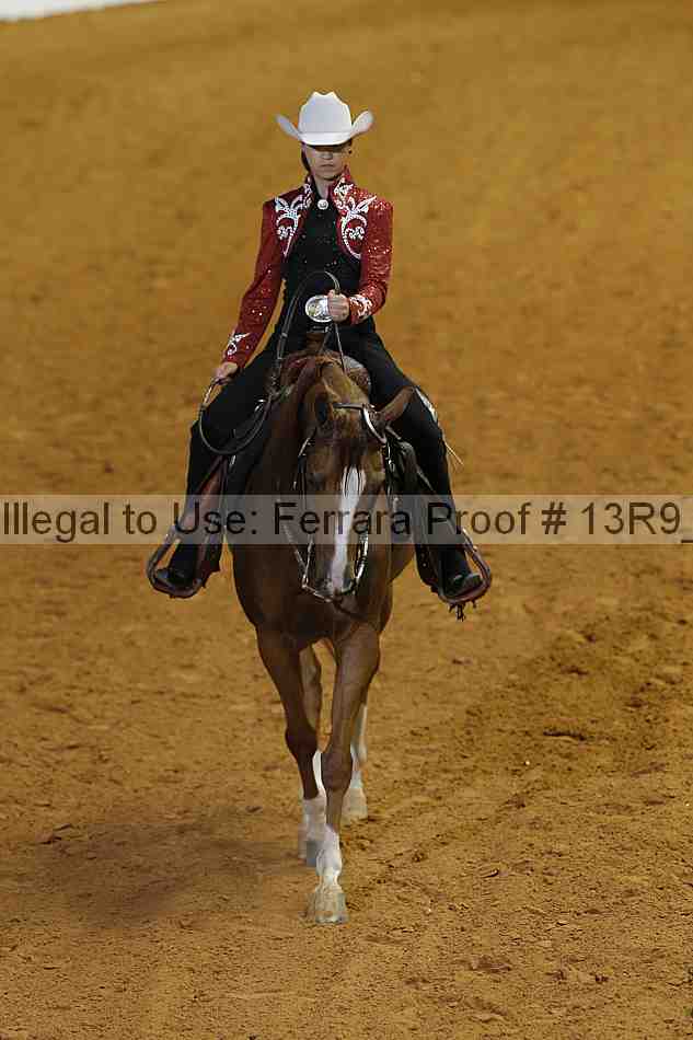Proof 13r9_4153