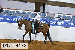 13r9_4173 proof