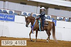 13r9_4183 proof