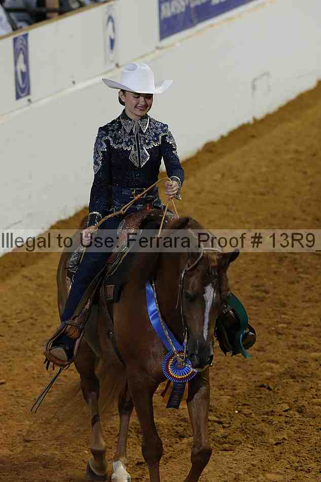 Proof 13r9_4190