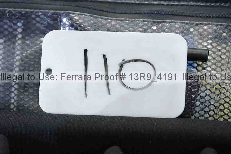 Proof 13r9_4191