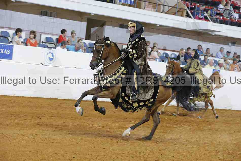 Proof 13r9_4205