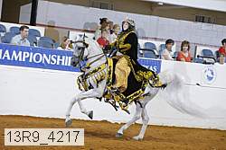 13r9_4217 proof