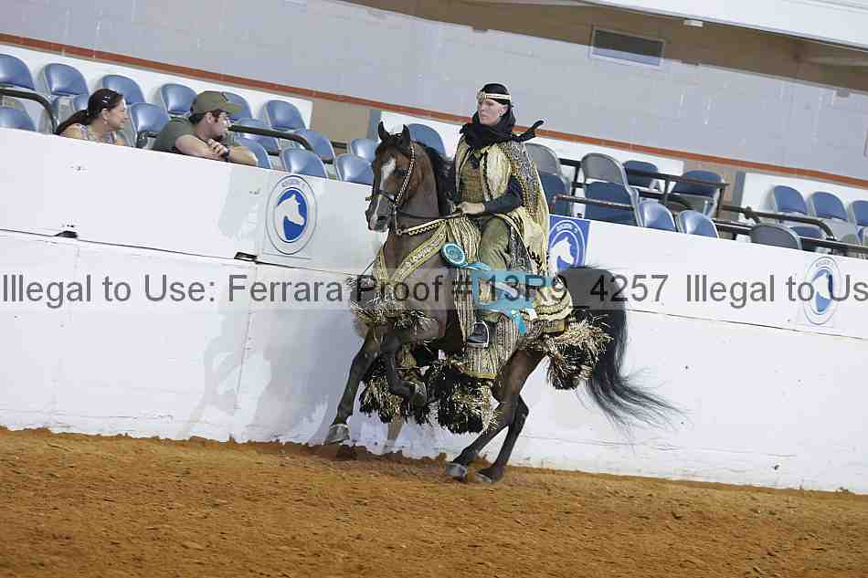 Proof 13r9_4257