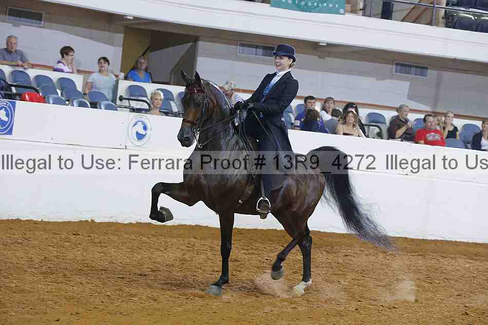 Proof 13r9_4272