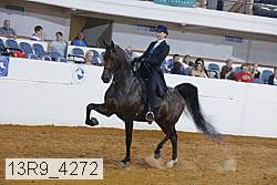 13r9_4272 proof