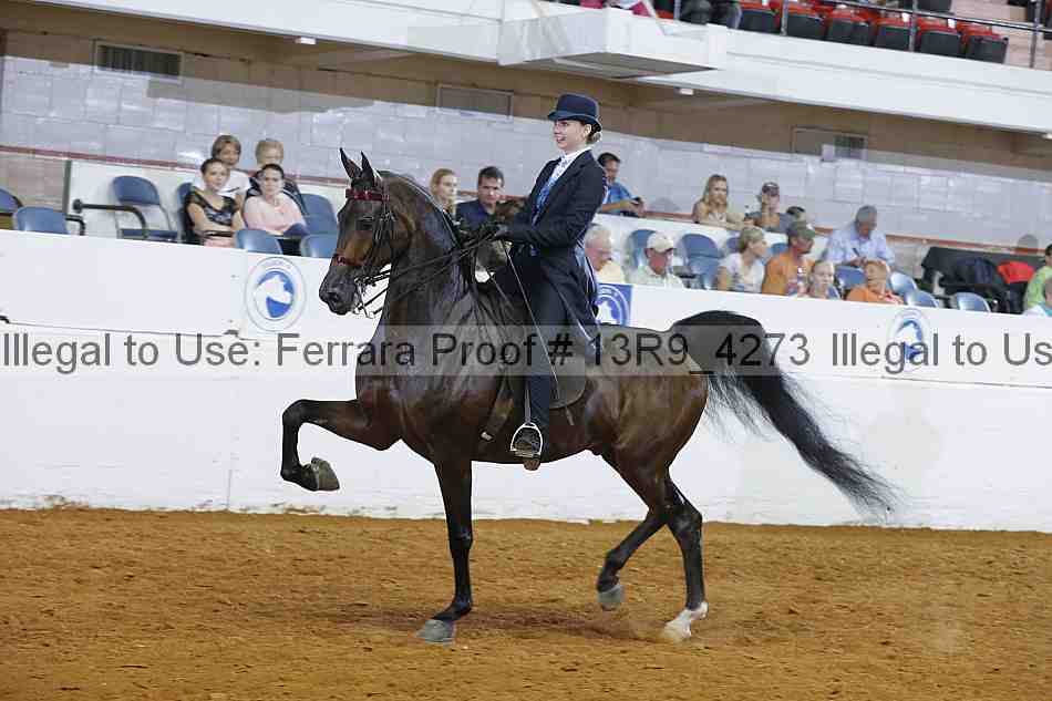 Proof 13r9_4273