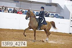 13r9_4274 proof