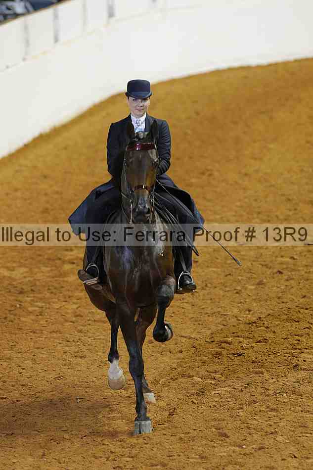 Proof 13r9_4275