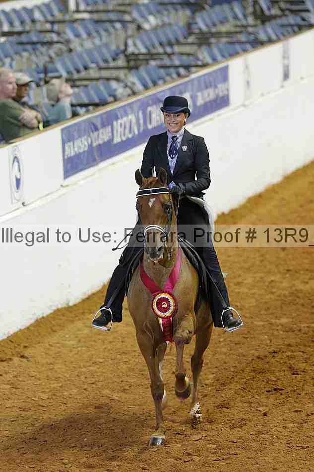 Proof 13r9_4289