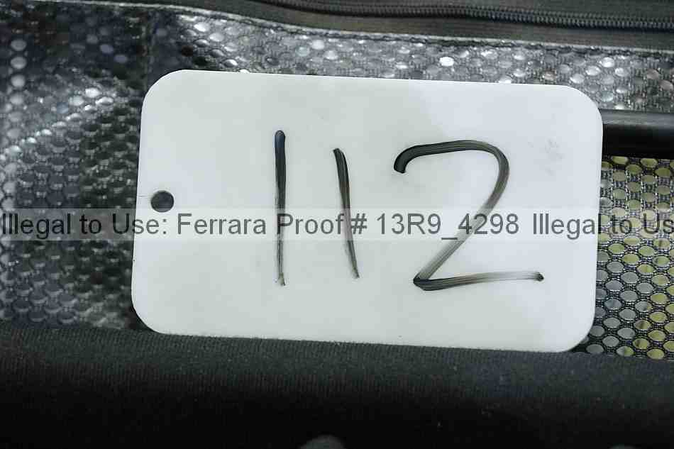 Proof 13r9_4298
