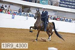 13r9_4300 proof