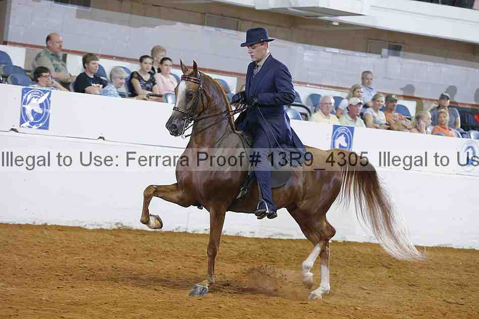 Proof 13r9_4305