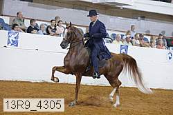 13r9_4305 proof