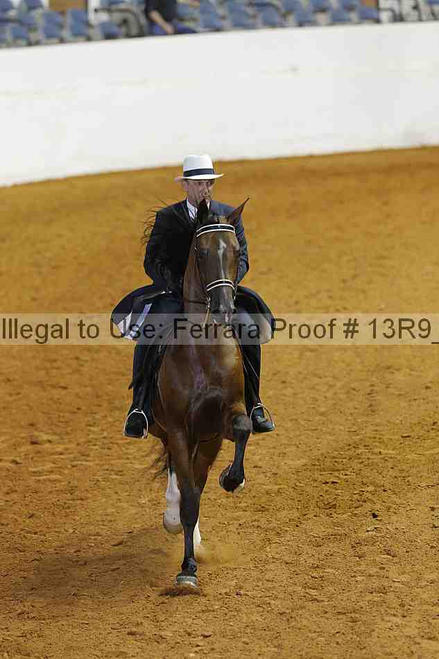 Proof 13r9_4306