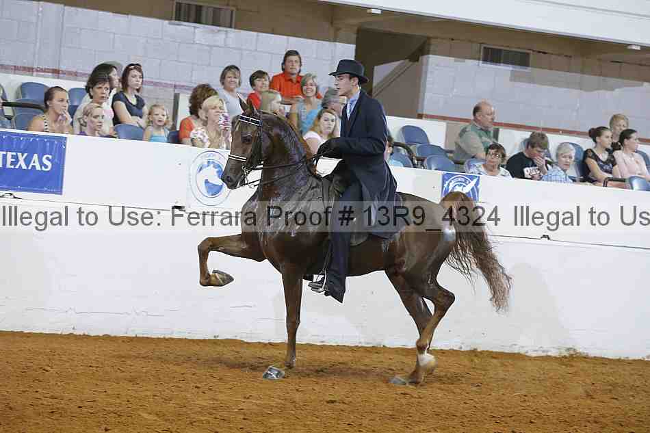 Proof 13r9_4324