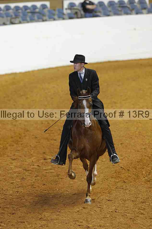 Proof 13r9_4325