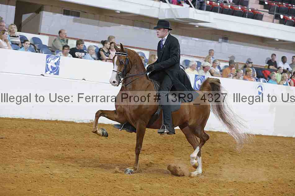 Proof 13r9_4327