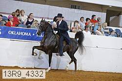 13r9_4332 proof