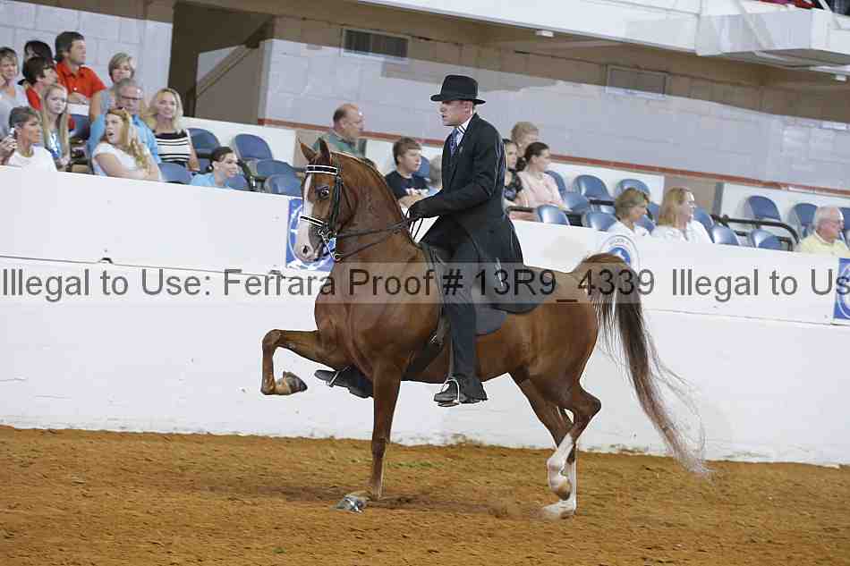 Proof 13r9_4339