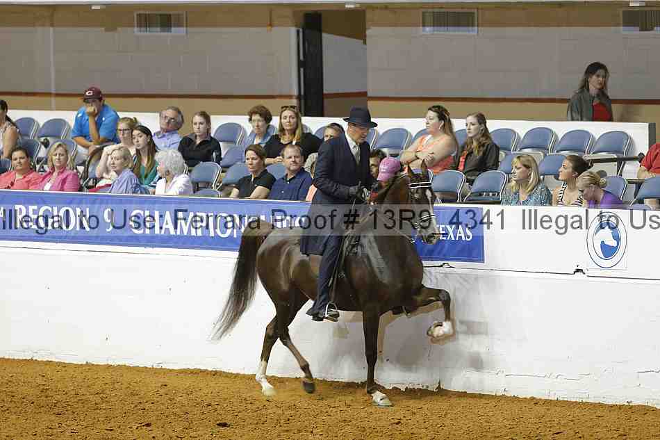 Proof 13r9_4341