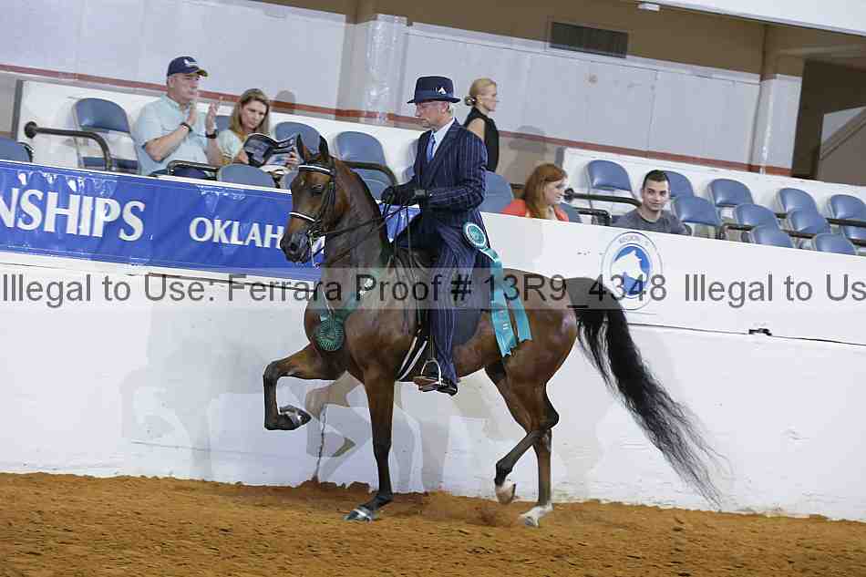 Proof 13r9_4348