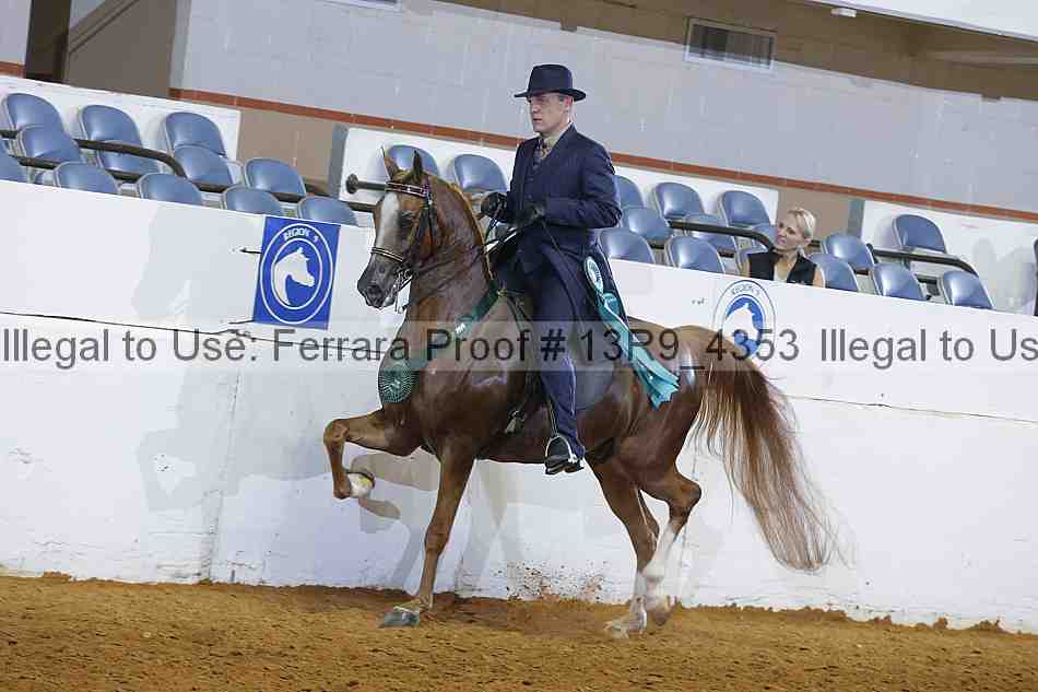 Proof 13r9_4353