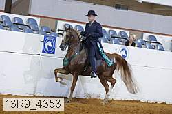 13r9_4353 proof