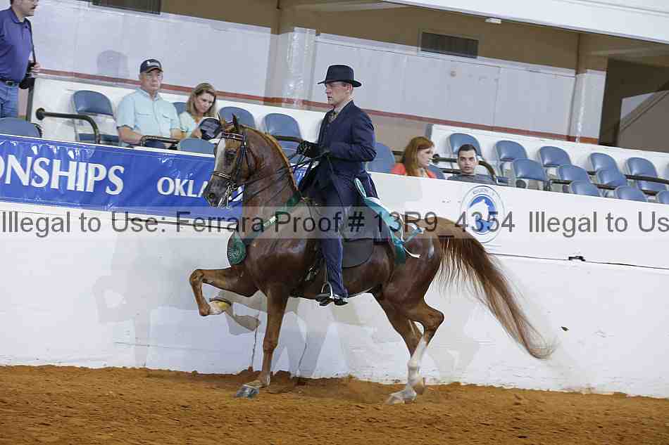 Proof 13r9_4354